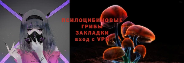 индика Алзамай