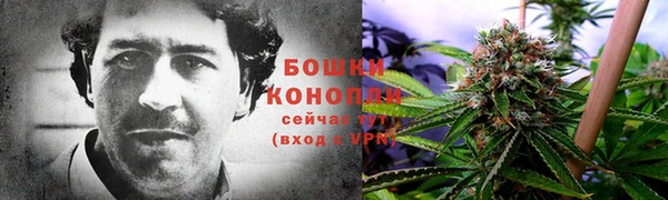 крисы Абдулино