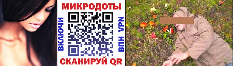 наркотики Туймазы это как зайти Псилоцибиновые грибы Psilocybine cubensis