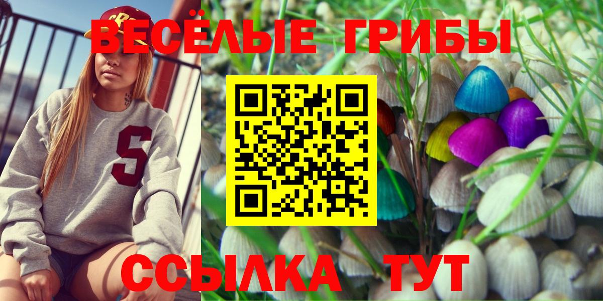 Галлюциногенные грибы GOLDEN TEACHER  Вход с VPN  Туймазы 