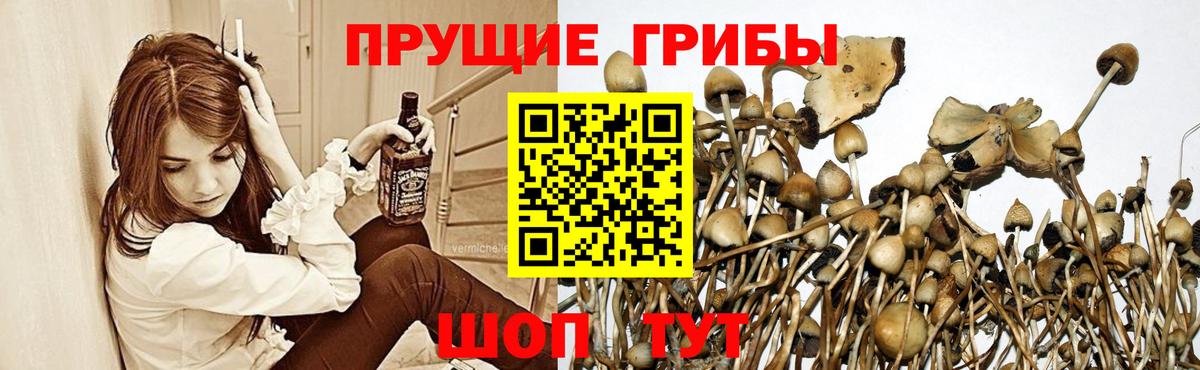 Галлюциногенные грибы ЛСД Туймазы